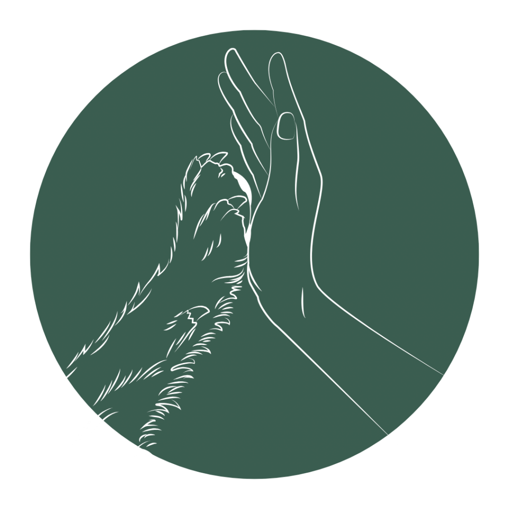 WORKSHOP "NATURAL DOGLEADERSHIP" 1 WORKSHOP "NATURAL DOGLEADERSHIP" 7