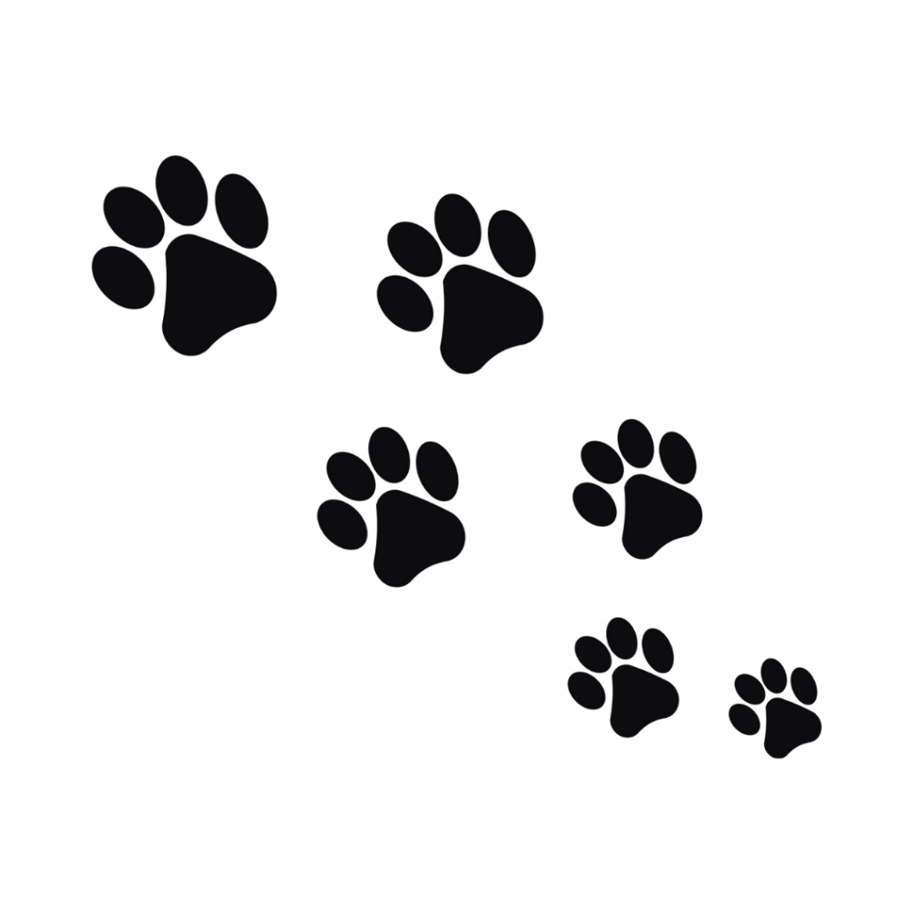 WORKSHOP "NATURAL DOGLEADERSHIP" pfoten