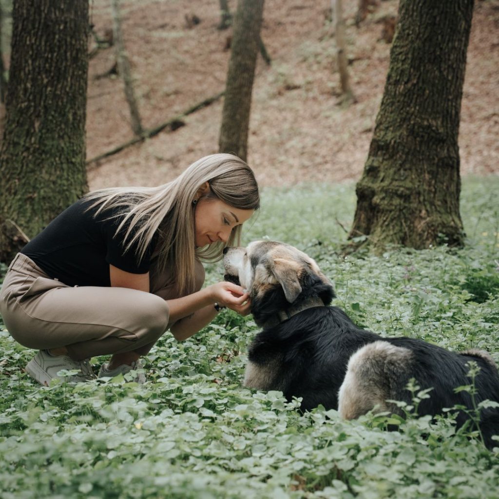 Waldbaden mit Hund – dein individuelles 1:1 Erlebnis 5