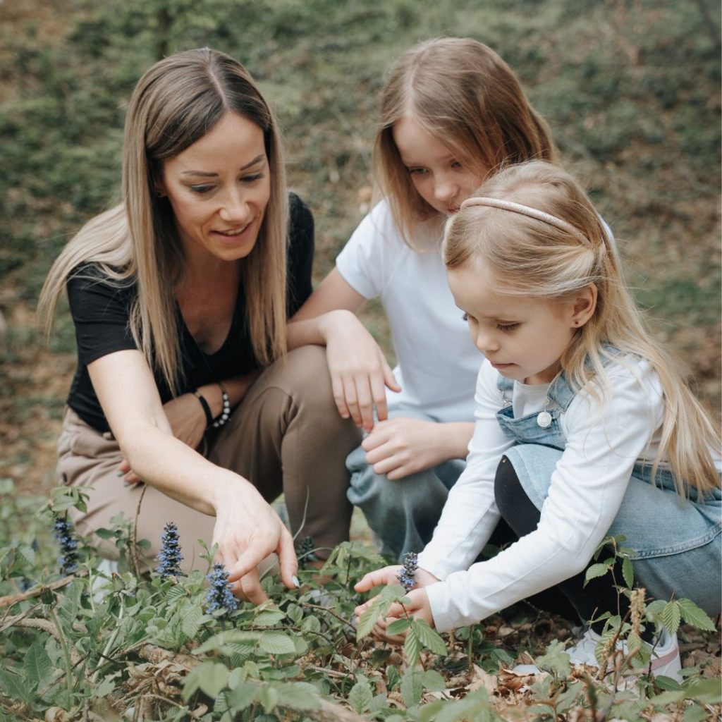 WORKSHOP "NATURAL DOGLEADERSHIP" 6