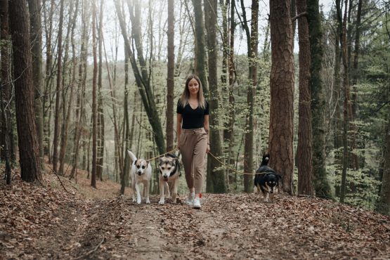 Team Walk - Abschluss 5 Team Walk - Abschluss viktoria 14 min