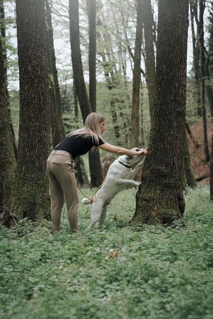 WORKSHOP "NATURAL DOGLEADERSHIP" viktoria 5 min