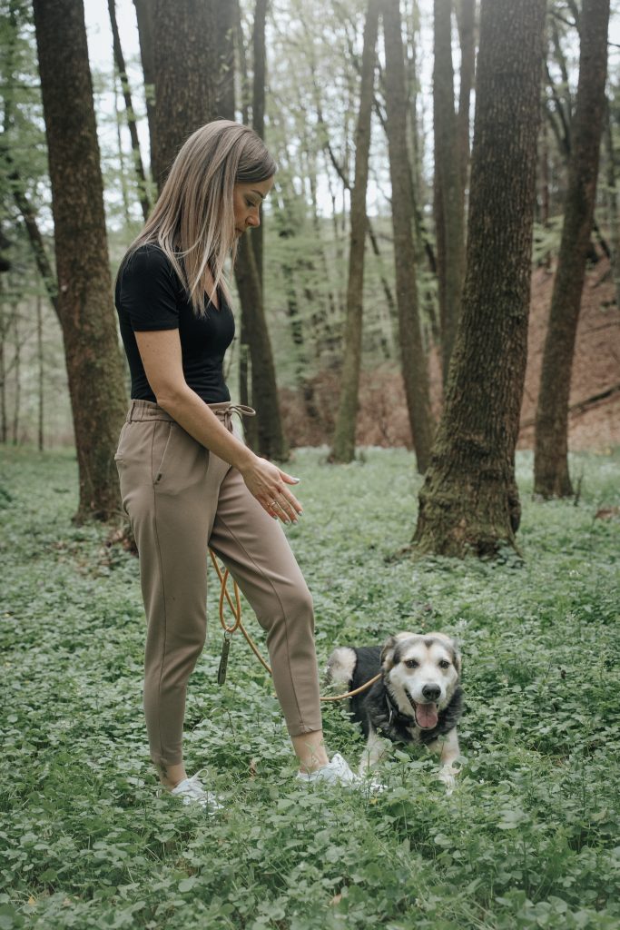 WORKSHOP "NATURAL DOGLEADERSHIP" viktoria 6