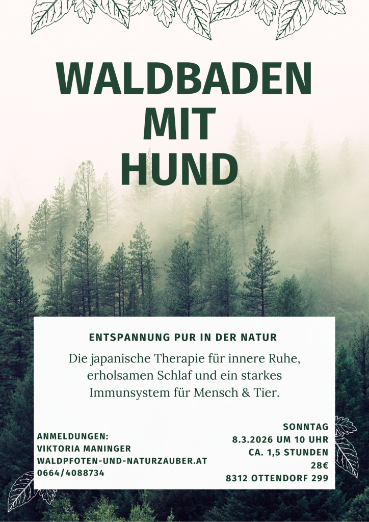 Waldbaden mit Hund waldbaden