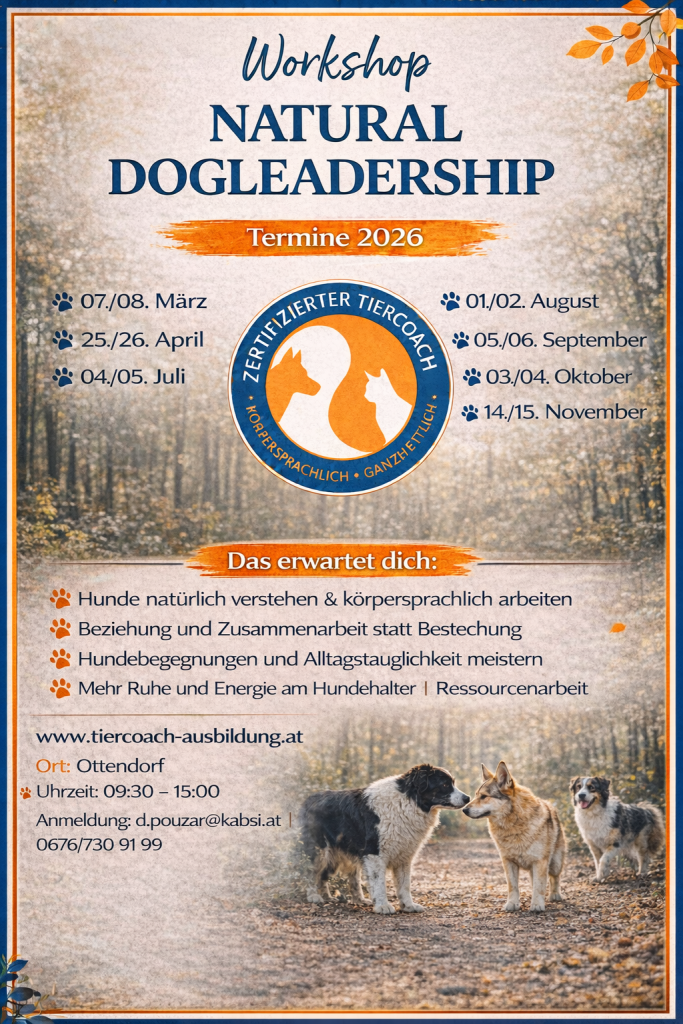 WORKSHOP "NATURAL DOGLEADERSHIP" WORKSHOP 22NATURAL DOGLEADERSHIP22