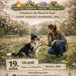 🐕 Inselspaziergang image2 1